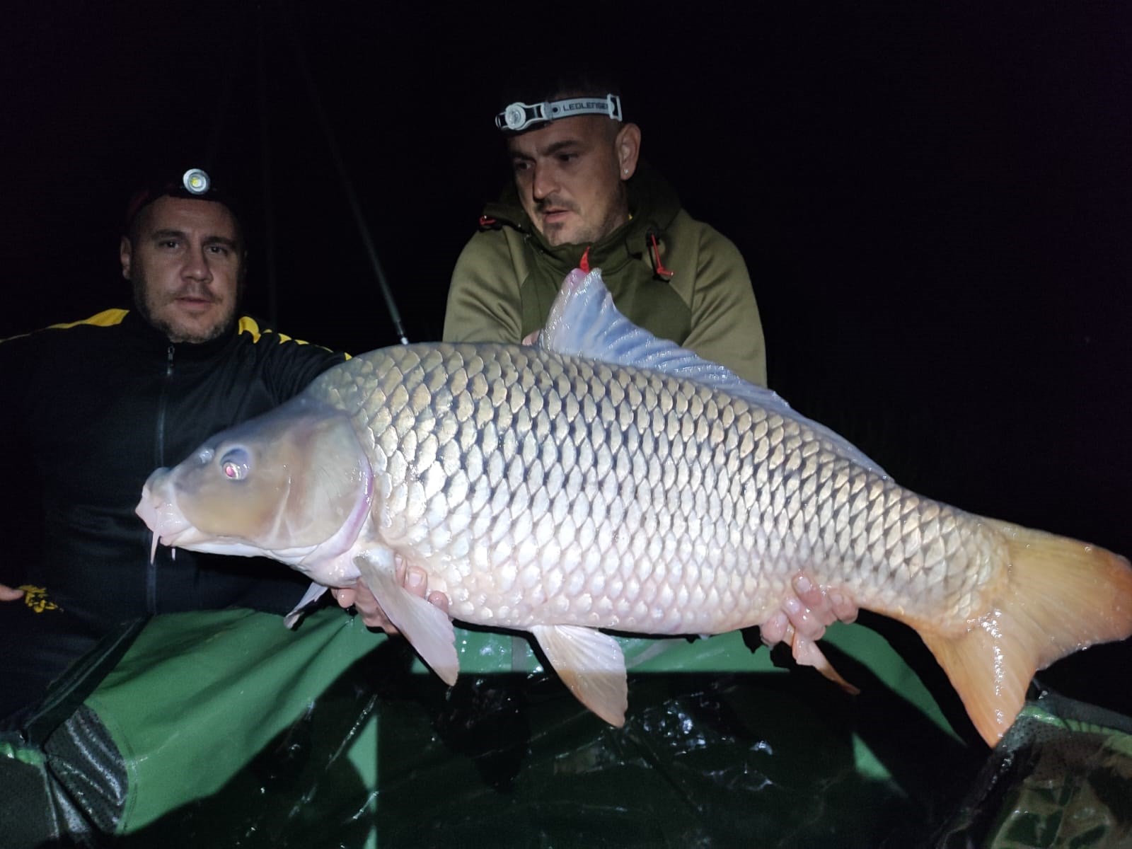 Sacosul Turcesc 2022 - IMG20220908WA0036.jpg